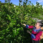 In Cina si riduce il divario di reddito fra aree urbane e rurali