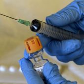 Operazione “Shield VI”, sequestrati migliaia di medicinali e sostanze dopanti Operazione “Shield VI”, sequestrati migliaia di medicinali e sostanze dopanti