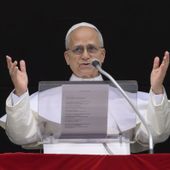 Papa “Le guerre feriscono l’intera umanità, non possiamo rimanere in silenzio” Papa “Le guerre feriscono l’intera umanità, non possiamo rimanere in silenzio”
