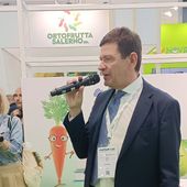 Macfrut, cresce l’attenzione delle famiglie italiane verso frutta e verdura Macfrut, cresce l’attenzione delle famiglie italiane verso frutta e verdura