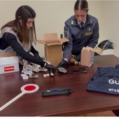 Palermo, sequestrati 17 reperti fossili risalenti a 50 milioni di anni fa Palermo, sequestrati 17 reperti fossili risalenti a 50 milioni di anni fa