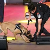 Cina, da inizio anno sequestrate oltre 4 tonnellate di droga alle frontiere Cina, da inizio anno sequestrate oltre 4 tonnellate di droga alle frontiere