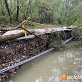 Assicurazioni: Confcommercio, 'bene proroga polizze catastrofali, ora tavolo di confronto' Assicurazioni: Confcommercio, 'bene proroga polizze catastrofali, ora tavolo di confronto'