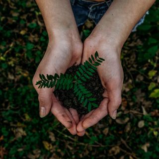 ConfagriBIO promuove “Bio al centro": i prodotti biologici della campagna laziale nel cuore di Roma