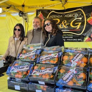 Il Metapontino rilancia l’agroalimentare; fragola IGP e Agrifood centrano l’obiettivo