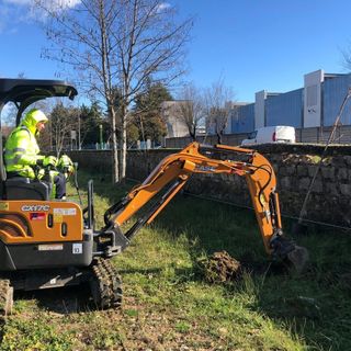 Riqualificazione fluviale lungo il Basento. Messe a dimora 120 nuove piante come compensazione ambientale