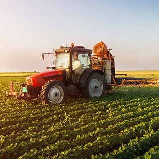 Agricoltura e competitività: oltre 100 milioni di euro per il rilancio delle PMI e delle partite IVA del settore primario in Sardegna
