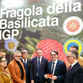 Fragola IGP Basilicata, punta di diamante della strategia lucana alla Fiera di Berlino