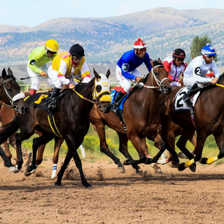 Foto: https://pixabay.com/it/photos/cavalli-da-corsa-wyoming-bassi-4062298/
