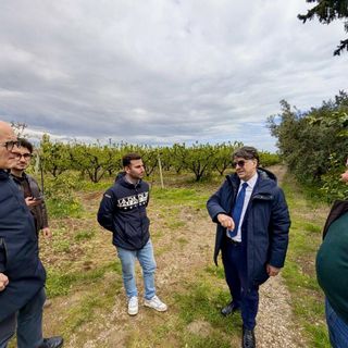 Maltempo in Basilicata, approvata la delibera per gli eventi eccezionali: 41 comuni colpiti