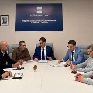 Basilicata, al via la campagna di forestazione 2026: 2.150 lavoratori nei boschi. Cicala: «Non è solo occupazione, è sicurezza del territorio»