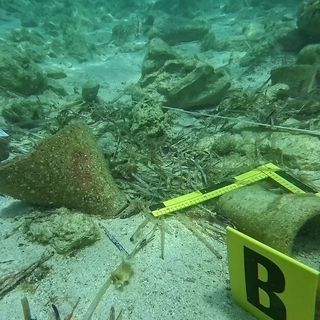 Lampedusa, tesori sommersi salvati dai predatori: recuperati 52 reperti archeologici