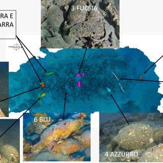 Capo Mulini, il relitto romano che riscrive la storia dei commerci nel Mediterraneo