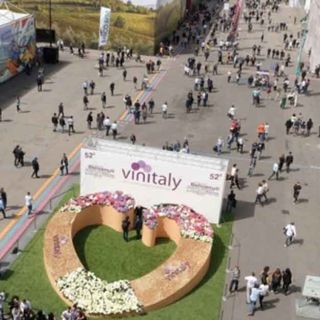 Al via Vinitaly 2025: il &quot;nettare degli dei&quot; vale 42 miliardi l’anno e rappresenta l’1,1% del PIL italiano