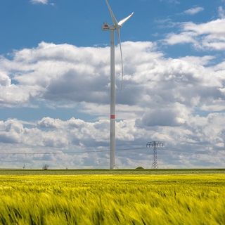 Confagricoltura incontra delegazione argentina: punti di convergenza e necessità di reciprocità