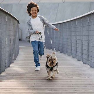 L'Eurobarometro evidenzia quanto sia importante il benessere degli animali per gli europei