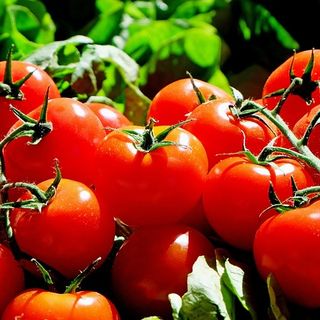 Agronetwork - L’oro in bocca - Tradizione e innovazione nell’agroalimentare conserviero: consumi, packaging, nuovi scenari – appuntamento a Salerno il 20 ottobre