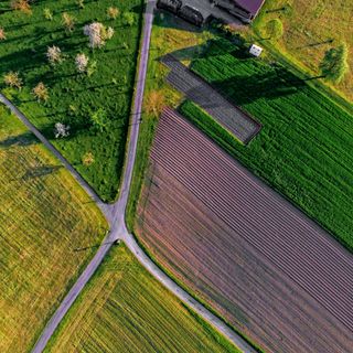 Legge Sabatini, Confagricoltura: Nuovi interventi di finanza agevolata per garantire gli investimenti in agricoltura