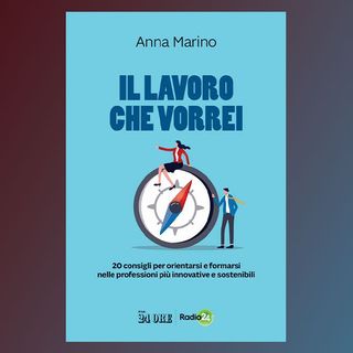 Il lavoro che vorrei. 20 consigli per orientarsi e formarsi