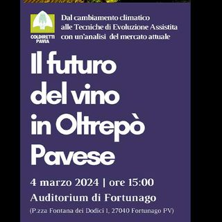 Il futuro del vino in Oltrepò Pavese