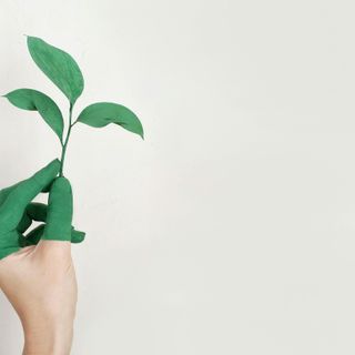 Trasparenza Ambientale: Sfide e Regole contro il Greenwashing nel Mercato Europeo