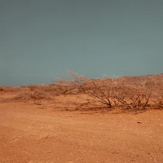 COLDIRETTI - Siccità: accelerare su piano invasi per salvare agroalimentare nazionale