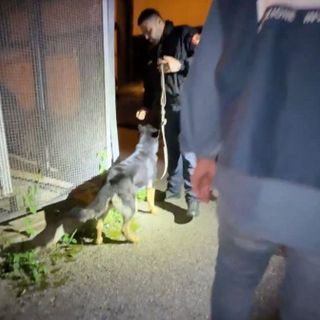 Dieci arresti nel Salernitano per scambio elettorale politico mafioso