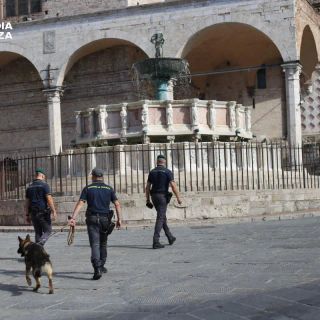 A Perugia sequestrata droga per oltre 10 mln nei primi otto mesi 2025