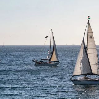 Flotilla, liberati i quattro parlamentari italiani
