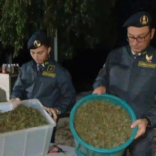 Scoperta “fabbrica della droga” a Napoli, sequestrata una tonnellata di cannabis