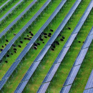 Cina, nel Sichuan attivato importante progetto fotovoltaico ad alta quota