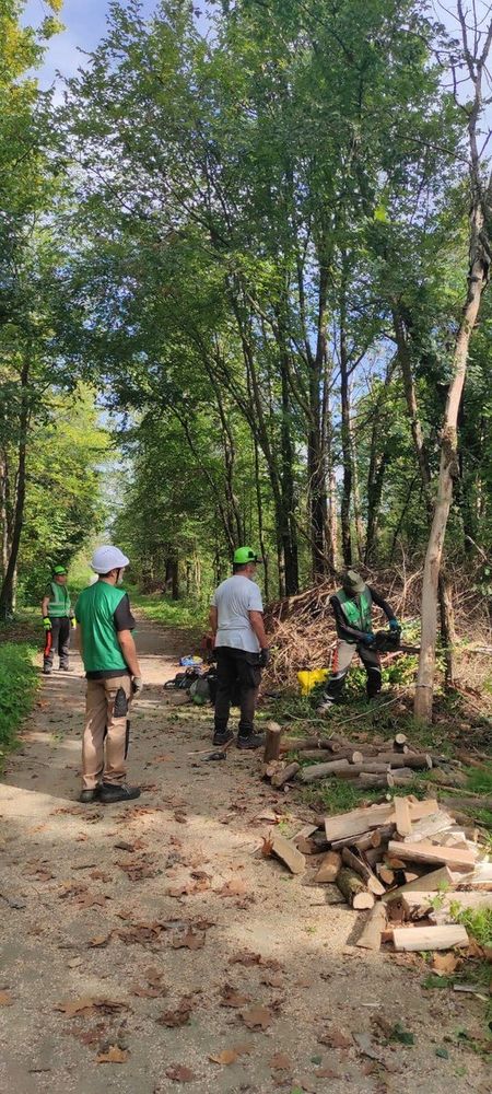 Cercasi "Angeli" per Villa Arconati: la Fondazione Rancilio lancia l'appello per nuovi volontari