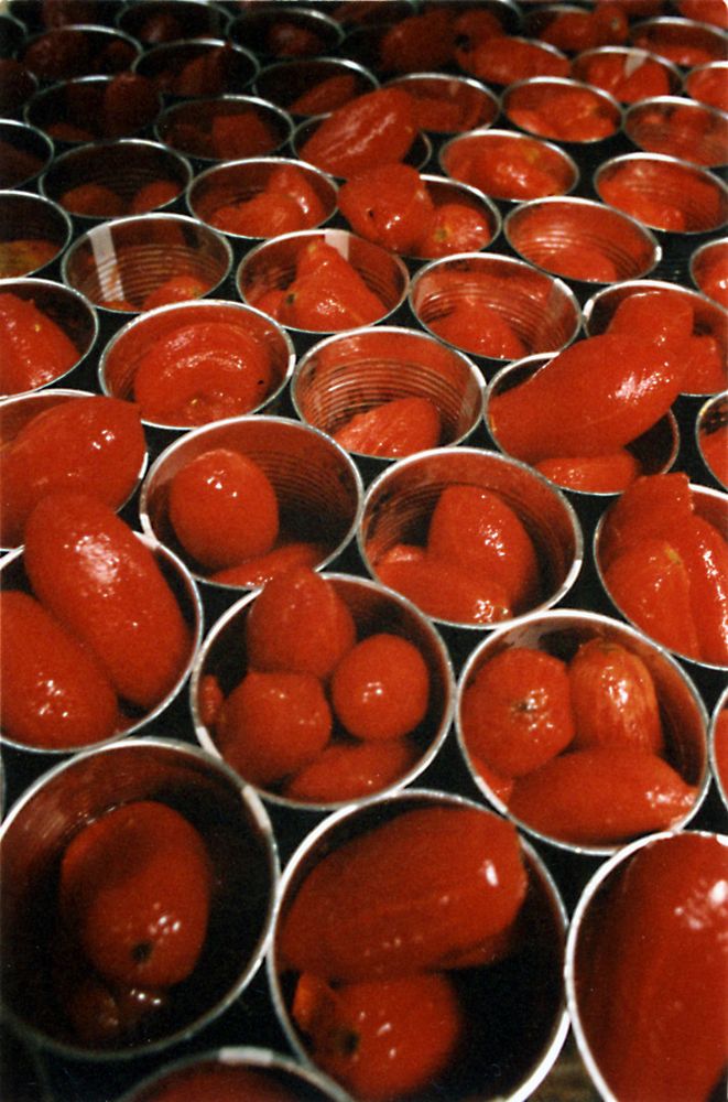 Pomodoro italiano regina delle esportazioni, ma arriva il primo calo dopo dieci anni