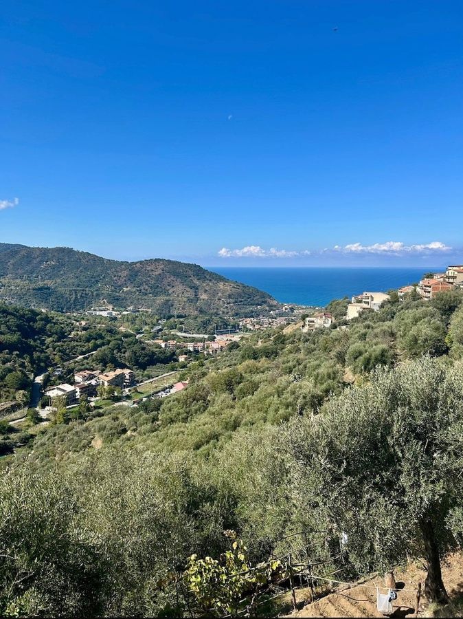 Frane e dissesto, al via il cantiere da 3 milioni per salvare Iannello Inferiore: via libera al consolidamento del versante ovest di Brolo Frane e dissesto, al via il cantiere da 3 milioni per salvare Iannello Inferiore: via libera al consolidamento del versante ovest di Brolo