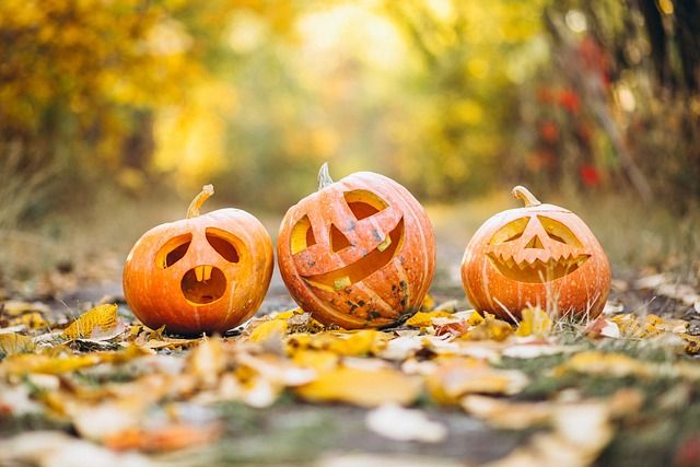 Halloween: Confesercenti-Ipsos, celebreranno 6 famiglie su 10. Spesa media 66,7 euro a famiglia