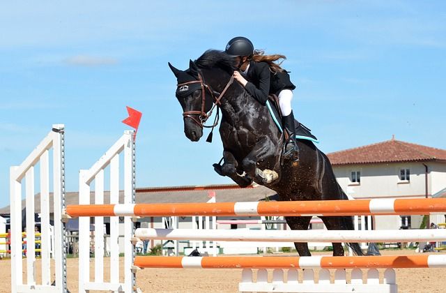 Fieracavalli 2023: Confagricoltura presente a Verona con le sue aziende, due spazi espositivi, incontri e iniziative