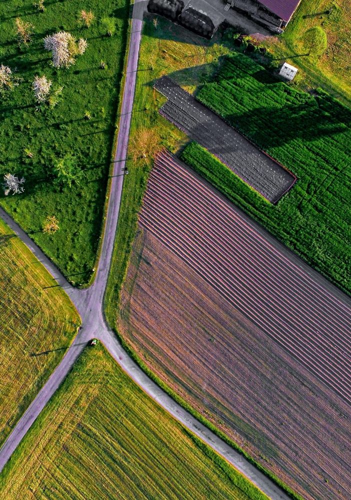Legge Sabatini, Confagricoltura: Nuovi interventi di finanza agevolata per garantire gli investimenti in agricoltura