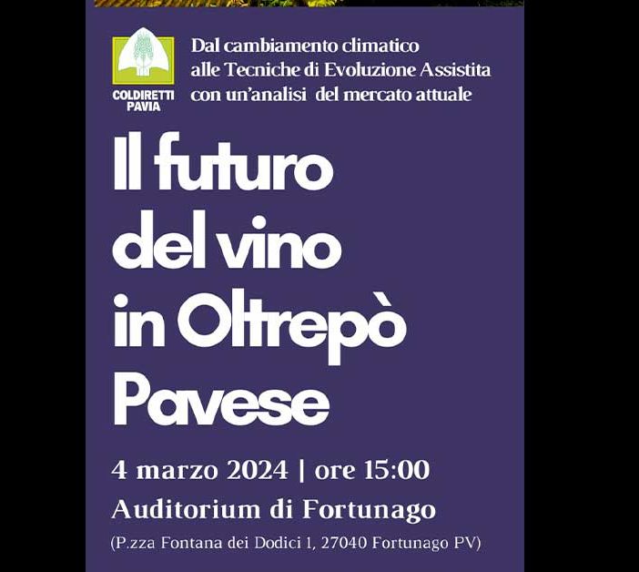 Il futuro del vino in Oltrepò Pavese