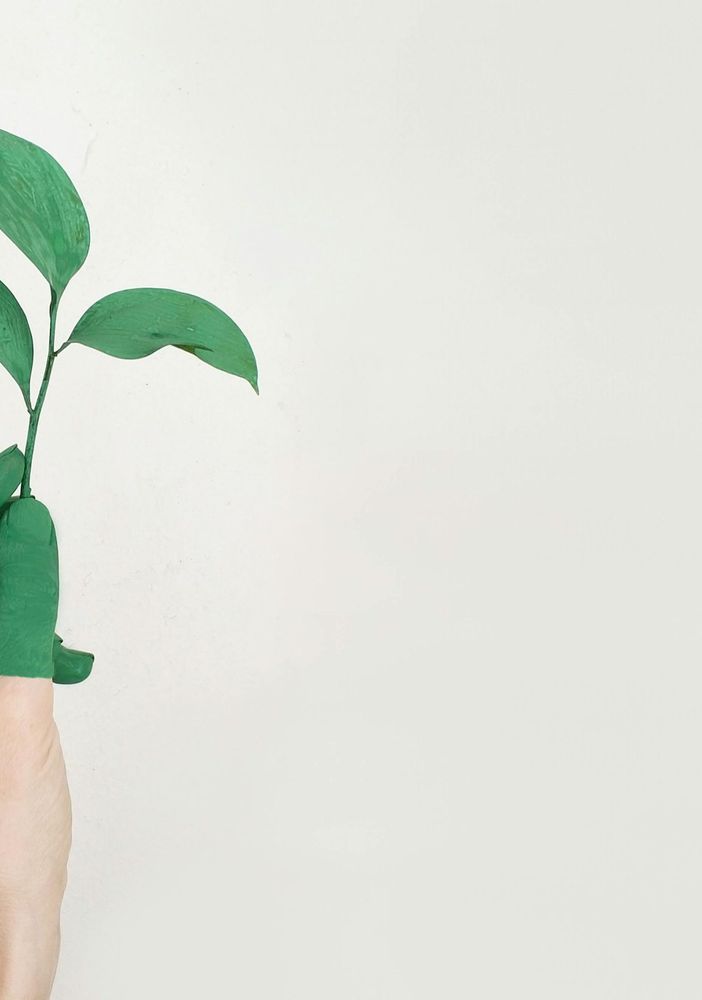 Comunicazione e pericolo greenwashing: il panorama aziendale e lo scenario normativo italiano ed europeo