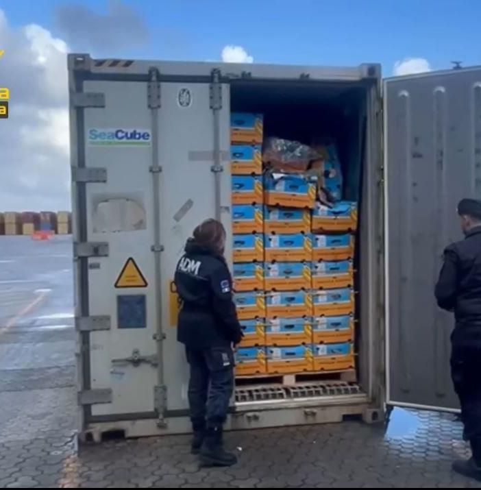 Blitz nel porto di Gioia Tauro, sequestrati oltre 780 chili di cocaina