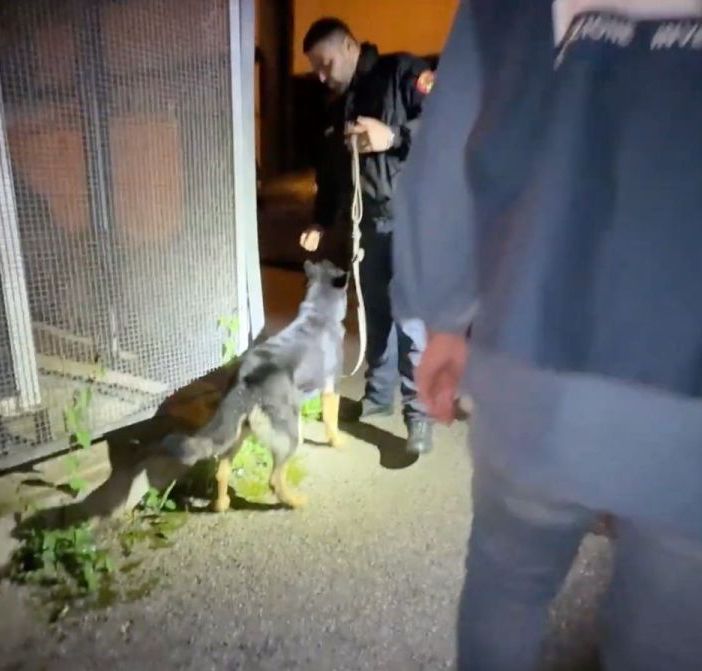 Dieci arresti nel Salernitano per scambio elettorale politico mafioso