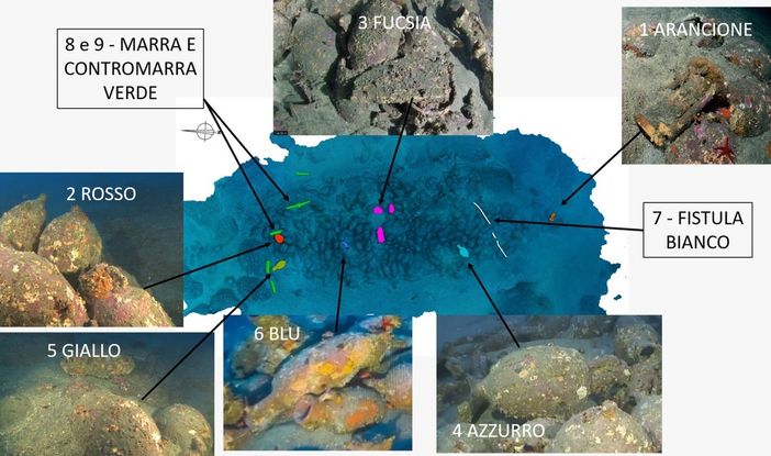 Capo Mulini, il relitto romano che riscrive la storia dei commerci nel Mediterraneo