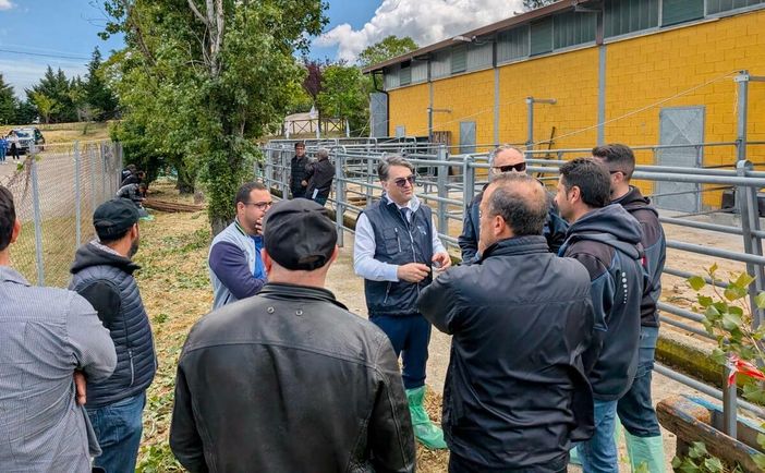 Zootecnia lucana, 5,6 milioni dal governo regionale per l'assistenza tecnica e la prevenzione delle epizoozie