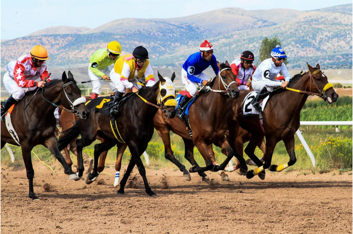 Foto: https://pixabay.com/it/photos/cavalli-da-corsa-wyoming-bassi-4062298/