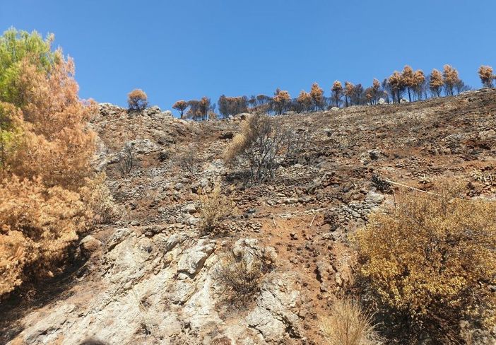 Dissesto idrogeologico a Monreale, via libera ai lavori per tre contrade a rischio. Stanziati 5 milioni di euro