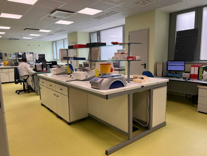 Progetto Plasma 2025-2026