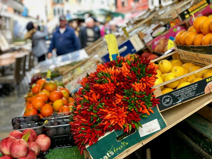 “Agroalimentare Made in Italy. Competenze, salute, mercati”. Lunedì 20 aprile il 1° Forum Agronetwork “Agroalimentare Made in Italy. Competenze, salute, mercati”. Lunedì 20 aprile il 1° Forum Agronetwork