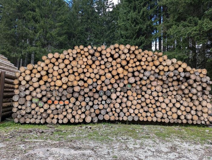 Eudr, meno burocrazia per le filiere europee: come cambiano costi e obblighi Eudr, meno burocrazia per le filiere europee: come cambiano costi e obblighi