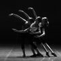 Insegnante di danza? Ecco i primi passi dei contribuenti