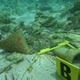 Lampedusa, tesori sommersi salvati dai predatori: recuperati 52 reperti archeologici Lampedusa, tesori sommersi salvati dai predatori: recuperati 52 reperti archeologici
